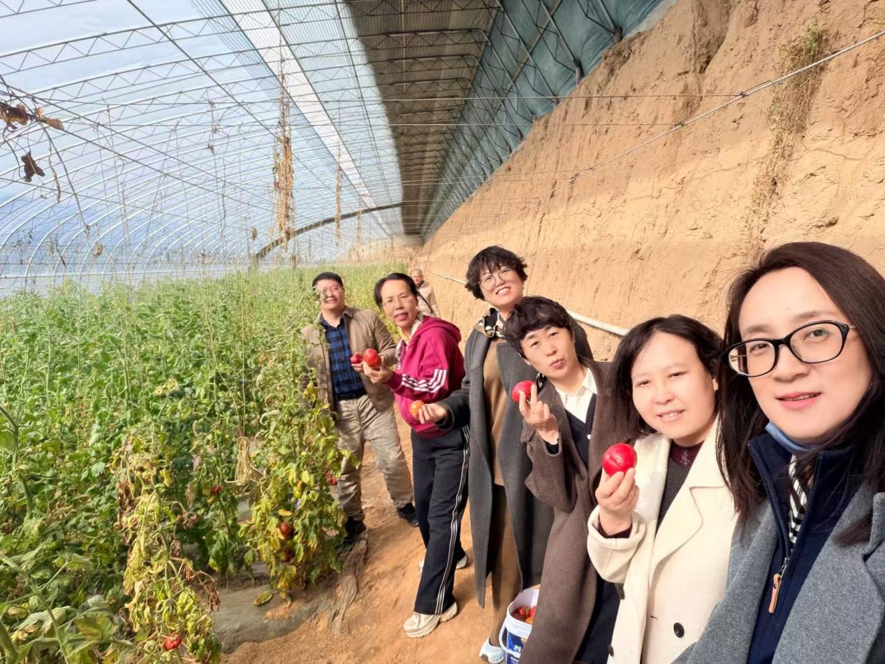 903a1ae2fa47e30c77d747cc035aab82