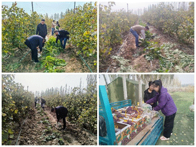 0b3eb047fdfeccaafc0c419383755751,70ad5ff7aa73dc05e21eb397b618bff1