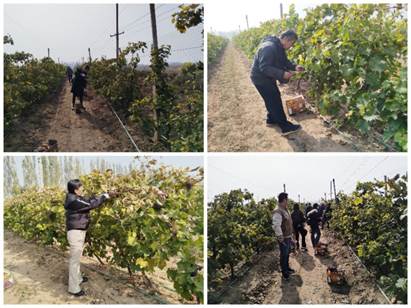 7422d2868a7efa95033feda37803ba21